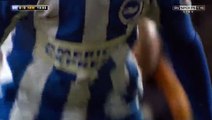 Glenn Murray (Penalty) Goal HD - Brighton	1-0	Newcastle Utd 28.02.2017