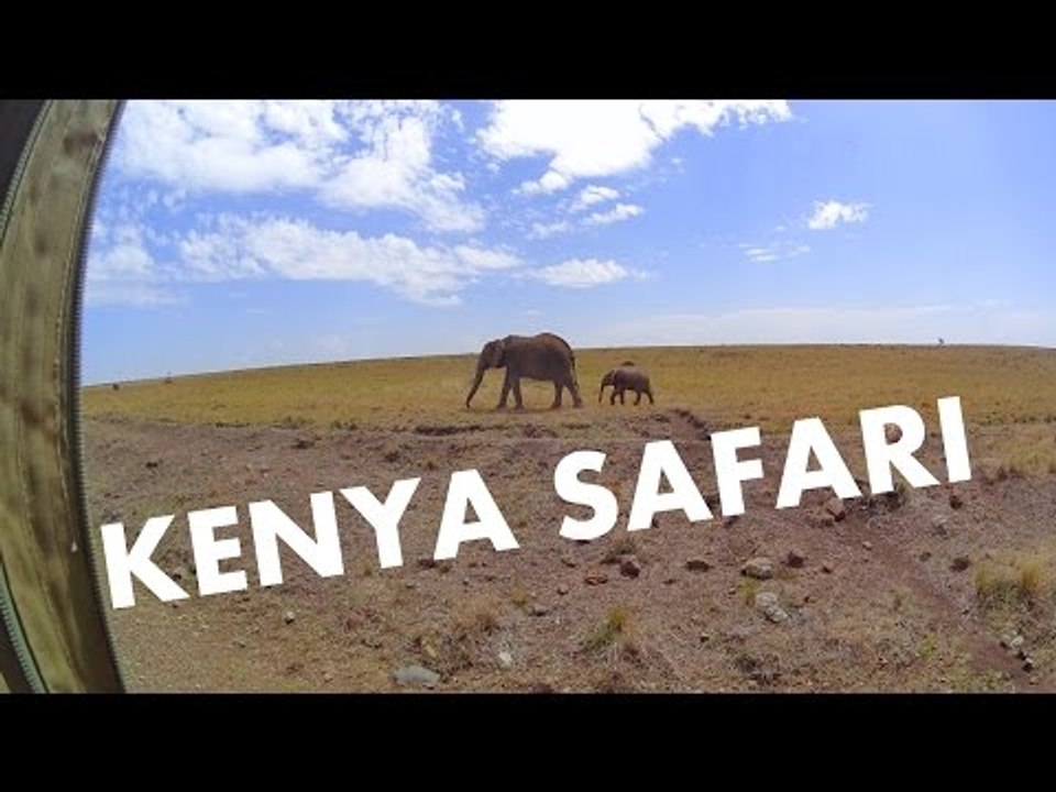 Wildlife at the Masai Mara National Reserve