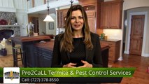 Pro2CaLL Termite & Pest Control Service, LLC Seminole Reviews Amazing 5 Star Review