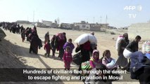 Iraqi civilians flee fighting, privation in west Mosul