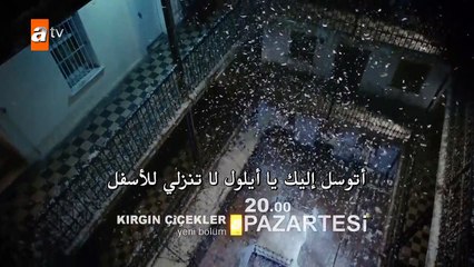 الأزهار الحزينة الموسم الثاني الحلقة 24  - إعلان 1 -