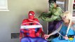 Evil Spiderman Attacks Frozen Elsa! W/ Pink Spidergirl, Maleficent, Joker, Anna & Black Sp