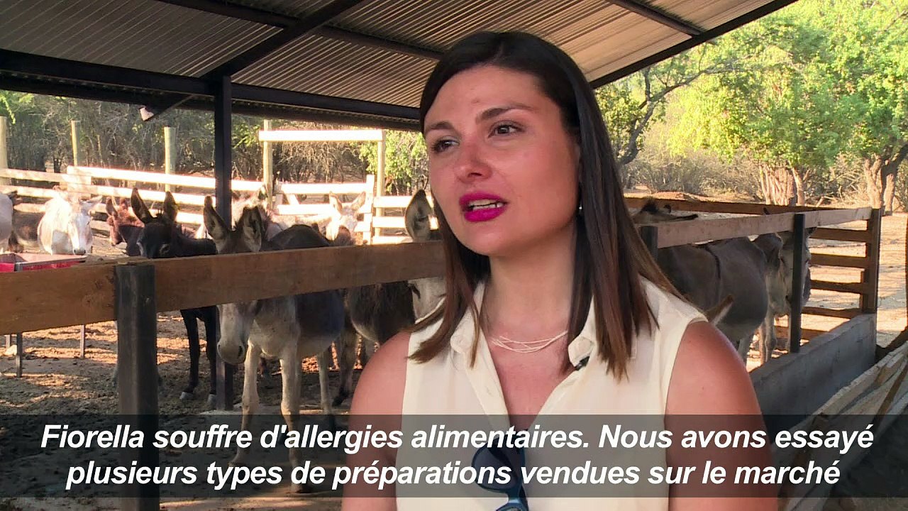 Chili: Une mère veut faire connaître les vertus du lait d'ânesse