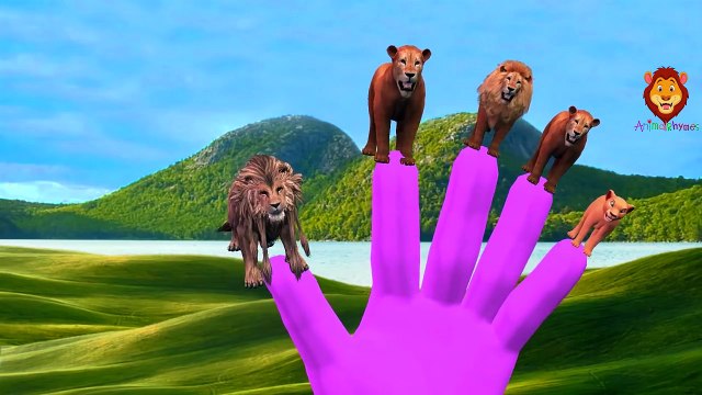 Лев Против Гориллы Finger Семья Дети Потешки | Лев Против Гориллы Дерутся Палец Семейные Песни