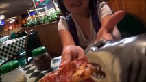 Feeding My Pet Shark, Pizza, Ice Cream & Gumballs 'Toy Sharks Video'