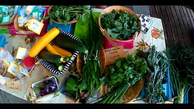 Urban Agriculture: Cargill’s Commitment to Sustainability and Nutrition Has City Neighborhoods Turning Green | Cargill