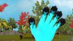 3D Animated Gorilla Finger Family Rhymes | Lion Finger Family Rhymes For Children