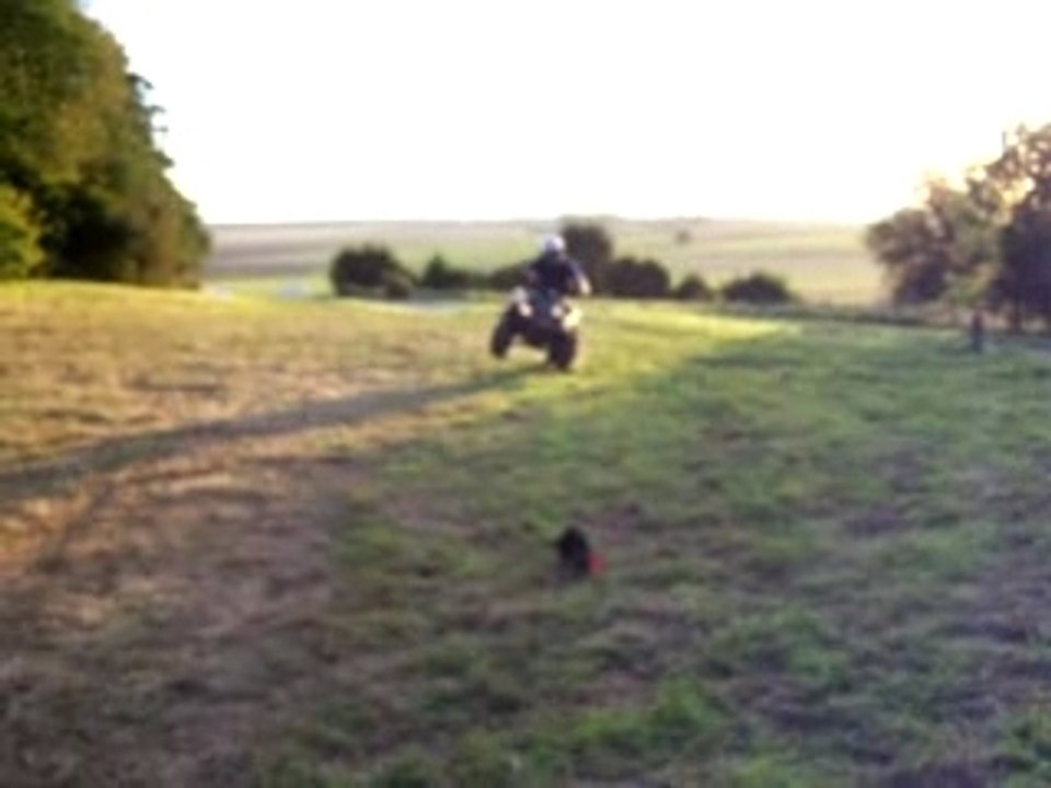 sortis quad apres le taf