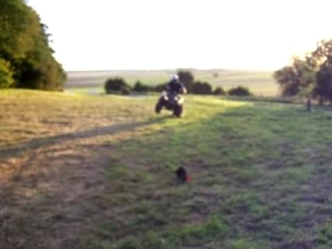 sortis quad apres le taf