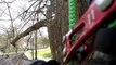 Good samaritan rescues cat chased up tree by dog