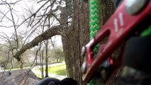 Good samaritan rescues cat chased up tree by dog