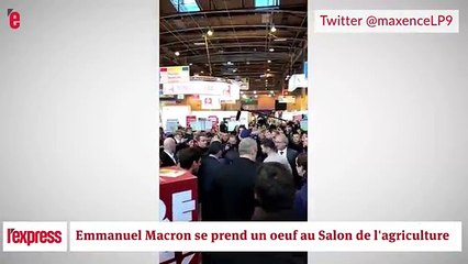 Emmanuel Macron se prend un oeuf au salon de l'agriculture