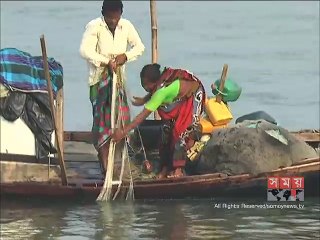 ভোলার মেঘনা-তেঁতুলিয়া নদীতে মাছ ধরার নিষেধাজ্ঞা জারি