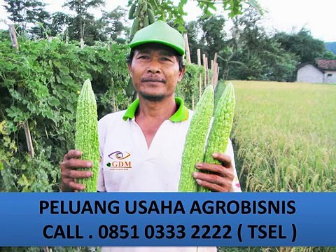 CALL . 0851 0333 2222 ( TSEL ) Bisnis Modal Dibawah 10 Juta
