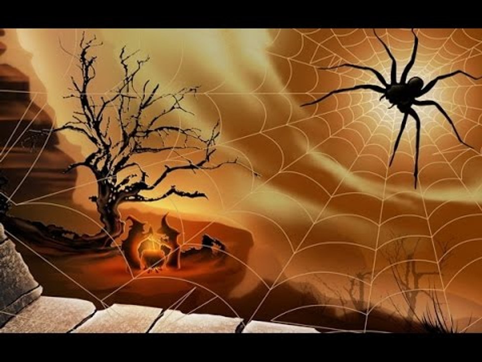 Câu chuyện về CON NHỆN QUÝ, không là của mình dù cưỡng cầu cũng không được!!!