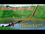 Những CÂY CẦU có kiến trúc QUÁI LẠ nhất thế giới [Chuyện Lạ]