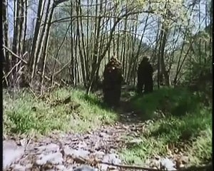 Alan Mehrez True Vengeance trailer