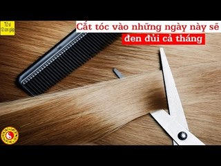 99% người dân Việt Nam không biết cắt tóc vào những ngày này sẽ đen đủi cả tháng