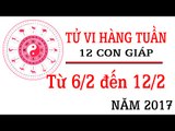 Tử vi hàng tuần: từ 6/2/2017 - 12/2/2017 của 12 con giáp về sự nghiệp, tình duyên, tài lộc