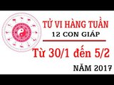 Tử vi hàng tuần: từ 30/1/2017 - 5/2/2017 của 12 con giáp về sự nghiệp, tình duyên, tài lộc