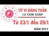 Tử vi hàng tuần: từ 23/1/2017 - 29/1/2017 của 12 con giáp về sự nghiệp, tình duyên, tài lộc