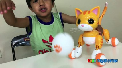 Zoomer Kitty Whiskers The Orange Tabby Spin Master Unboxing and Play Ryan ToysReview