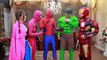 Spiderman & Frozen Elsa Birthday Party vs maleficent vs prank - Fun Superhero in Real Life