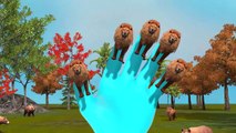 Lion 3D Finger Family Rhymes | Finger Family Lion 3D Songs For Children