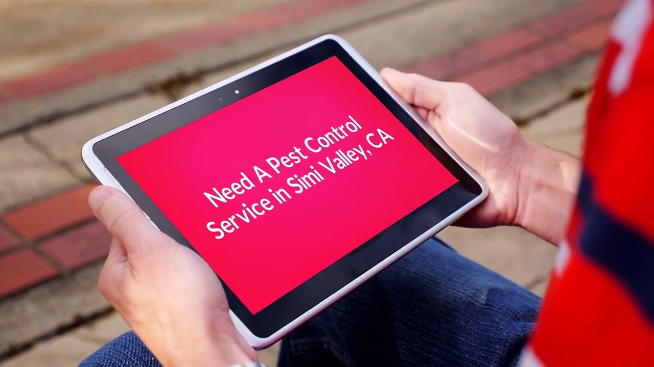 Insight Pest Control Management in Simi Valley, CA