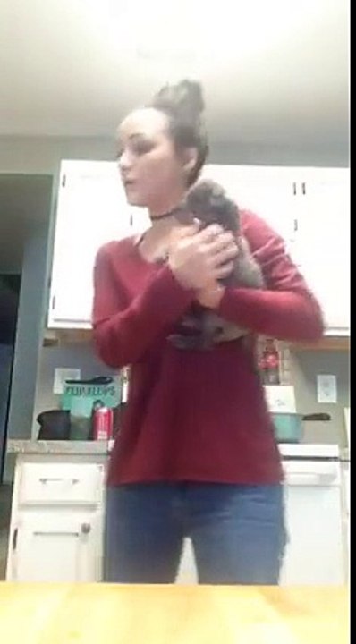 verry funny video you ever seen it is amazing for me