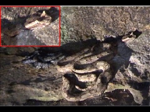 Những chuyện tâm linh khó tin nhưng có thật ở Tràng An