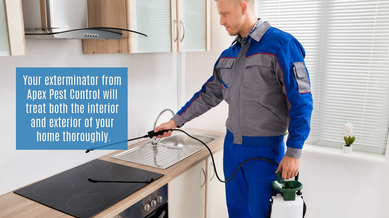 Get Pest Control Service at Affordable Price - Apex Pest Control