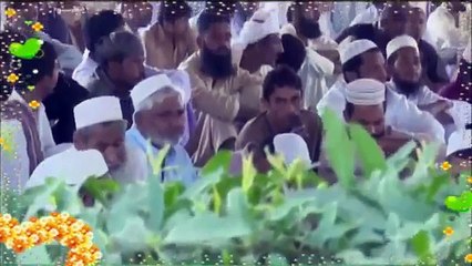 Best Of Life Changing Emotional Bayan By Maulana Tariq Jameel sab urdu/hindi