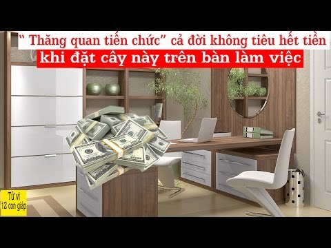 Thăng quan tiến chức cả đời không tiêu hết tiền khi đặt cây này trên bàn làm việc