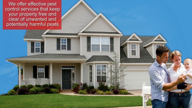Quality Pest Control Services - Apex Pest Control