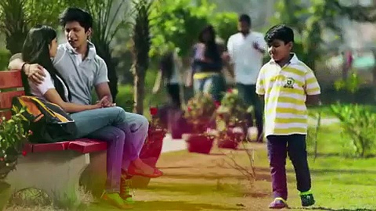 New Holi Video