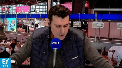 Les audiences du mardi 28 février