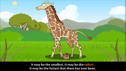 Kids Songs: Record Breakers 🏆 | Fun English Songs with Lyrics