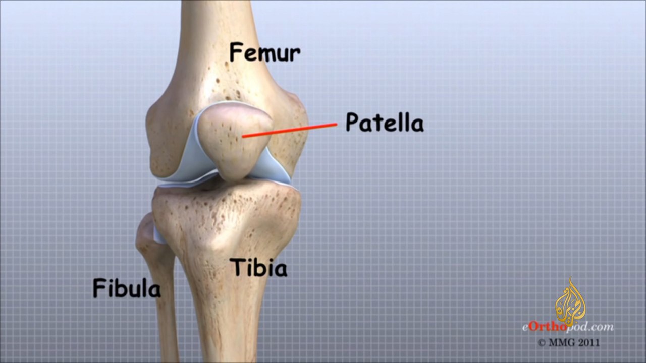 هذا الصباح -آلام الركبة.. إزعاج تخففه التمارين الرياضية