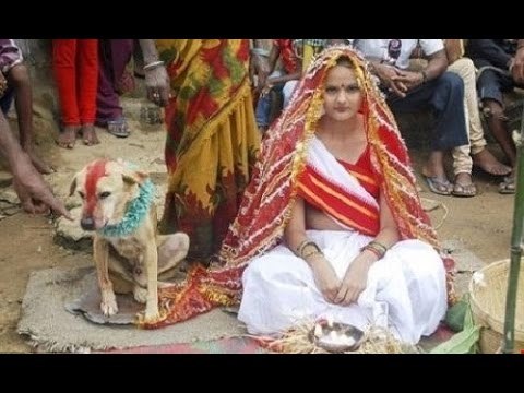 Chuyện lạ khó tin - Lạ kỳ những vụ người kết hôn với động vật!!!