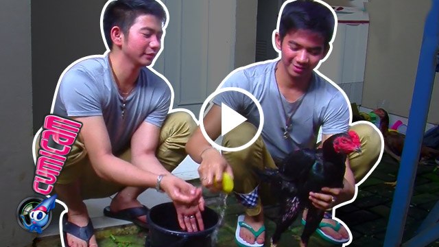 Usai Dangdut, Rizky-Ridho Jaga Ayam - Cumicam 01 Maret 2017