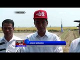 Presiden Jokowi Fokuskan Identifikasi dan Pencarian Korban Musibah Mina - NET16