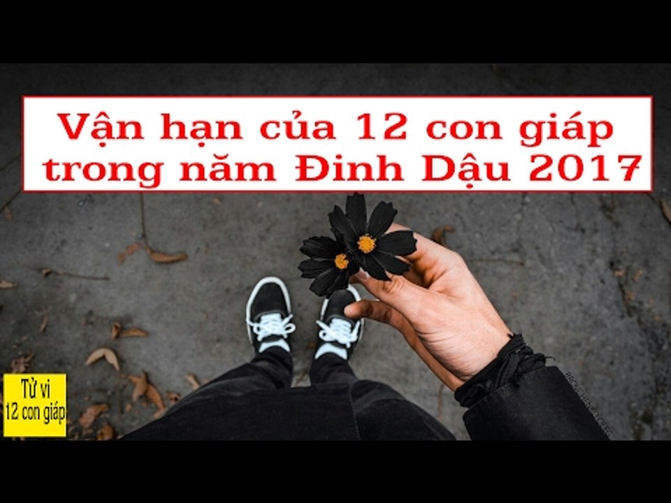 Vận hạn của 12 con giáp trong năm Đinh Dậu 2017 | Tử Vi 12 Con Giáp