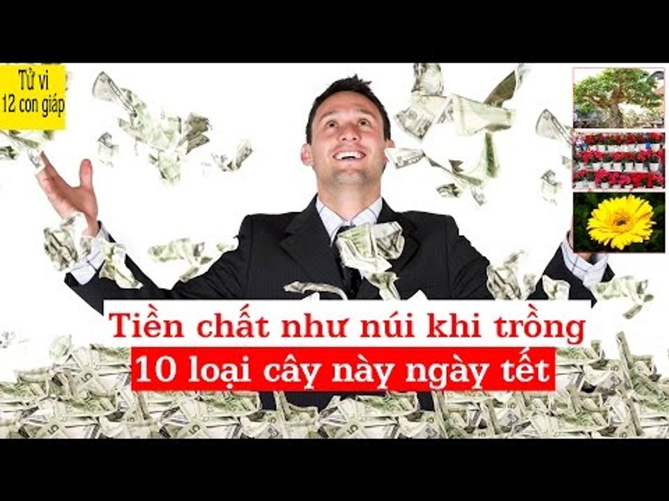 Tiền chất như núi khi trồng 10 loại cây này ngày tết trong nhà