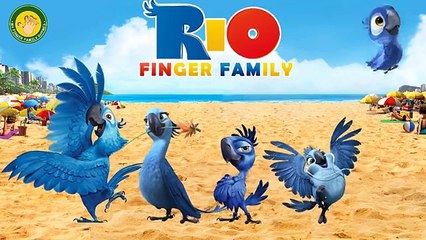 Rio Finger Family Nursery Rhymes Lyrics