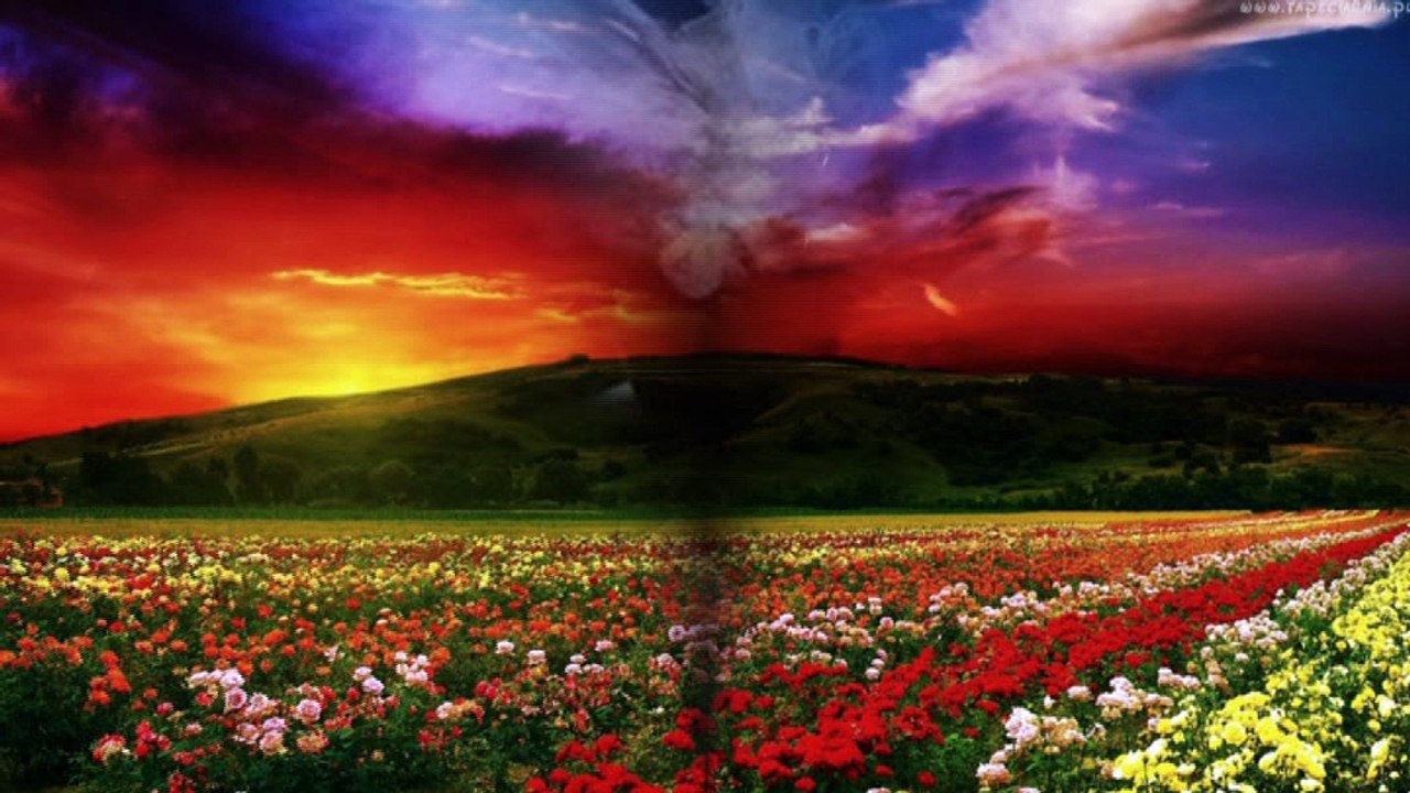 DŁUGO CZEKAM NA TWÓJ LIST