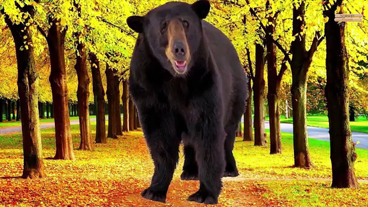 El Aprendizaje De Los Animales Los Sonidos Y Los Nombres Para Niños Y Bebés | Aprender Nombres De Animales Salvajes