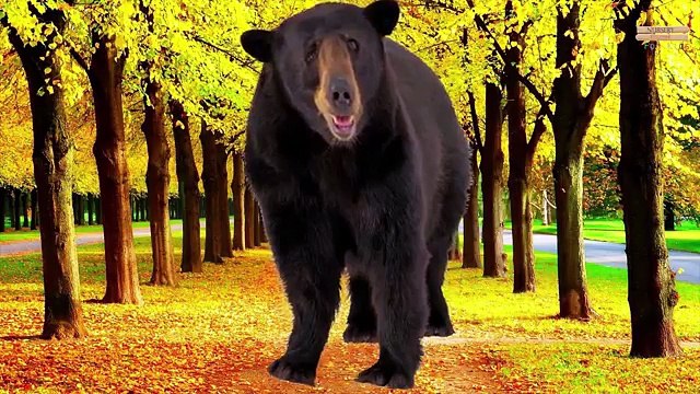 El Aprendizaje De Los Animales Los Sonidos Y Los Nombres Para Niños Y Bebés | Aprender Nombres De Animales Salvajes