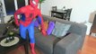 Человек-паук против розовый Человек-паук против лягушки смешные Супергеройское кино в реальной жизни