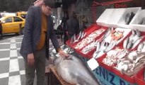 Şanlıurfa'da 122 kiloluk balık görenleri şaşırttı